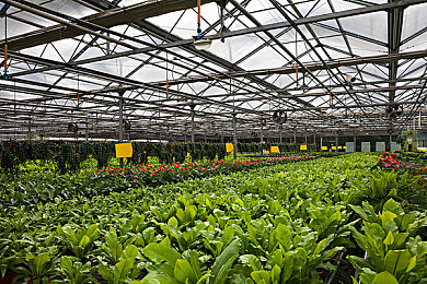 李梓熙香港摄影师合作作品：极限竞速地平线联动港风摄影，霓虹滤镜与香港赛道正式上线-4