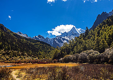 男生和女生差差差差差差差：赛车游戏数据揭示，不同性别玩家的驾驶策略与操作习惯存在显著差异-2