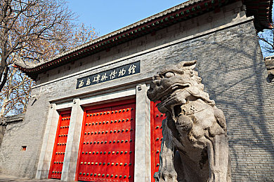 tiktok色板2.4.1：极速变色挑战今日上线，你的反应力能驾驭色彩赛道吗