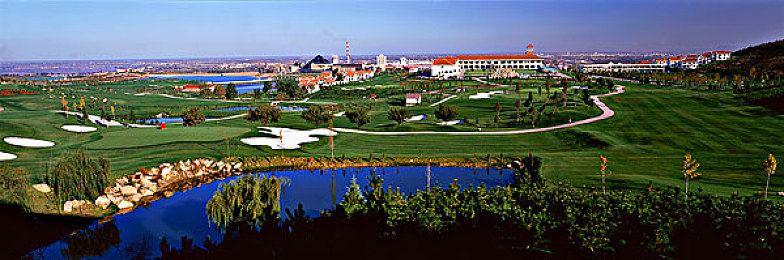 暗网猎奇爆料吃瓜：霓虹深渊中的方向盘，数据迷雾里的微光抉择