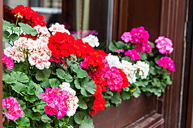 岛国一区二区三区：极速穿梭霓虹都市，征服海岸险峰，决战废土狂沙-2