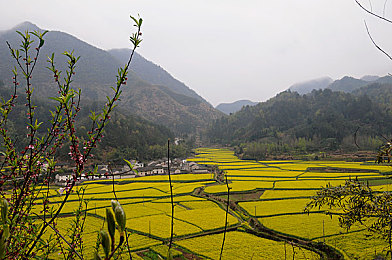 新金银屏5美国版：极速国度，改装传奇，自由驰骋的汽车文化史诗-2