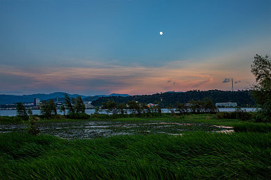 国产男男体育生：校园赛道，青春竞速，与搭档共赴速度之约