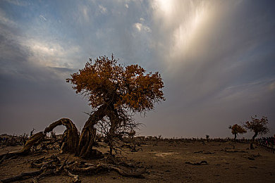 曰本55丰满熟妇厨房伦：料理女神重返竞技场，厨房中的极速传说与温情对决-3