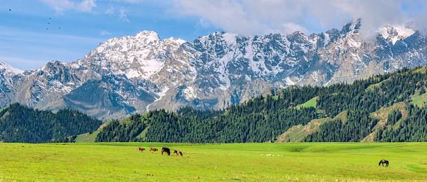 久久这里只有：极限竞速地平线5，墨西哥驾驶乐园的永恒之旅-3