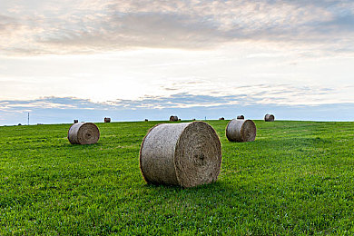天天色情:霓虹光谱间疾驰的视觉诗篇-2