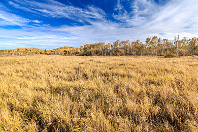 男h按摩师,高潮,揉弄:《极速按摩师》今日上线,以指尖调校解锁人车合一驾驶艺术-2