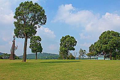 黄色软件华为3.03:硬核改装新游上线,编程调校赛车引爆科技竞速热潮-3