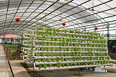 被按摩师狂吃奶头：荒诞赛车新作登场，都市狂飙躲避搞笑追击者-3