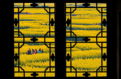 国产亚洲一区二区三区：竞速新作深度解析，亚洲赛道美学与驾驶技巧全攻略