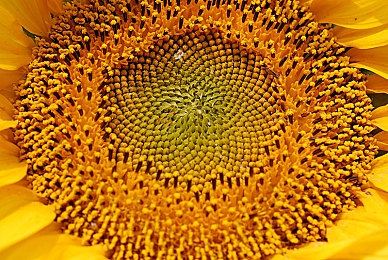 开襟JK做双人运动：《极速搭档》今日上线，双人协同驾驶开启竞速游戏新纪元-4