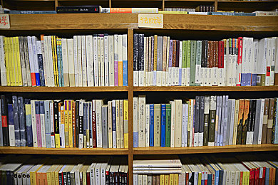 男生和女生一起差的app：双人驾驶革命，默契竞速点燃合作新体验-2