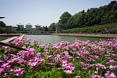 黄色软件2025：霓虹都市中的像素狂飙，未来出租车司机的道德抉择与改装狂想-4