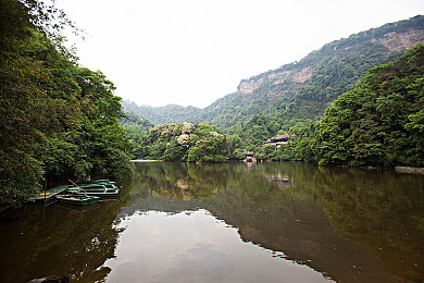 产子岛:竞速与生态融合,驾驶游戏新作开启生命创造之旅-2