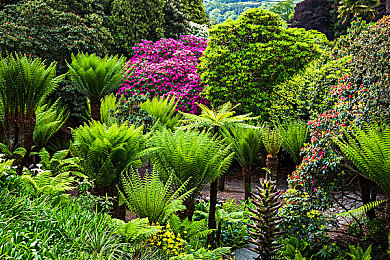 阿娇陈冠希照片亲密照：虚拟偶像私密影像泄露风波，情感冒险游戏暗影情缘引发数字时代隐私反思