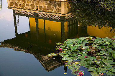 一小孩和妈妈摘萝卜生：亲子农场新作今日上线，温馨协作玩法引爆家庭游戏热潮-2