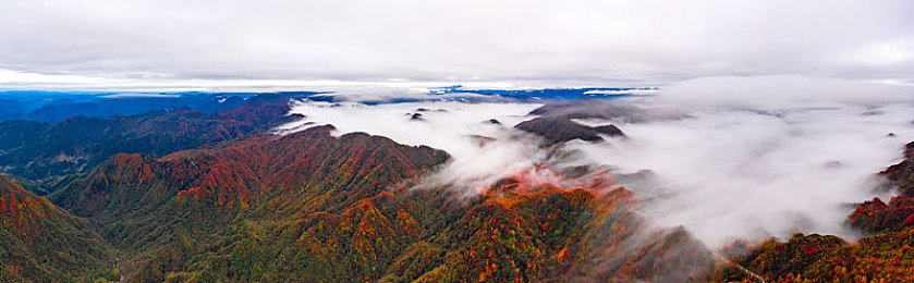 黄色小软件：改写规则，极速革命，独立赛车游戏以代码外挂为核心玩法引爆创意-2