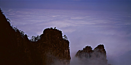 大象回家导航：复古公路冒险新作上线，动态情感导航系统重塑开放世界驾驶体验-2