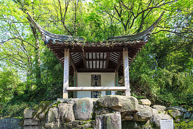 国产综合成人AV：虚拟驾驭未来，中国城市驰骋之旅-3