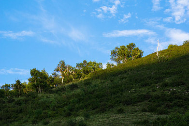 黄色软件下载链接3.03：极速工坊，机械艺术与赛道风云的深度交响-5