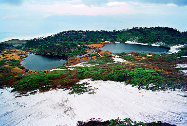 男生和女生一起差差下载软件：极速搭档革新竞速体验，双人协作共筑赛道传奇-2