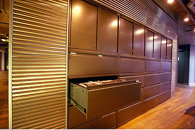 女人与公豬交交ZoZ0：疾风羁绊，荒野共生竞速诗篇-2