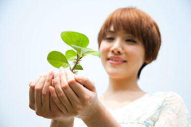 打扑壳又痛又叫：硬核碰撞模拟，体验真实驾驶的震撼与策略-2