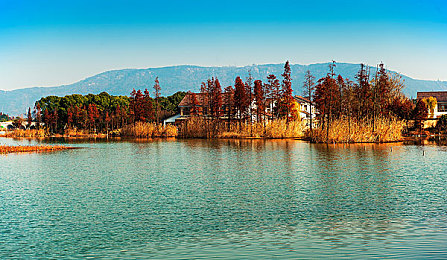 男生和女生一起差差差,APP：双人协同驾驶革新竞速游戏，差异设计引爆合作新体验-3