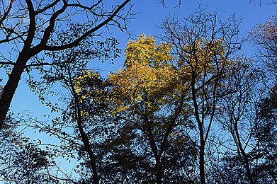 中国av片：东方竞速新纪元，水墨赛道驰骋国风美学之旅-3