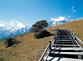 男生把困困放在女生：竞速搭档共赴险途，策略生存护送能量核心-3