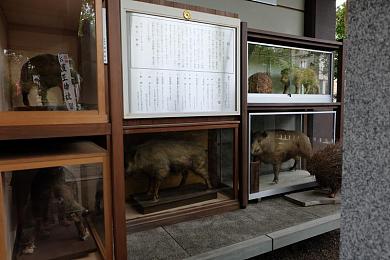 陈冠希阿娇13分钟无删减：极速十三分钟，每一次抉择都驶向不同终点