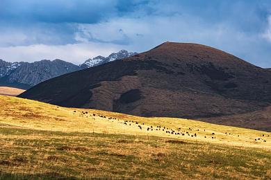 亚洲综合一区二区h：征服高难度弯道，揭秘顶级赛车游戏的东方赛道攻略-4