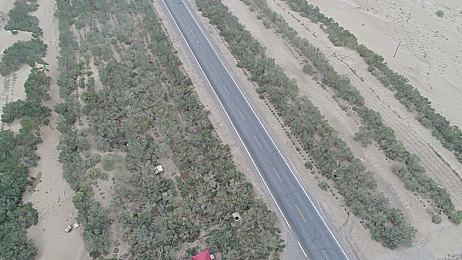 男生的小困困在女生的小困困：缺陷交织的协奏，迷雾与齿轮的共生之旅-3