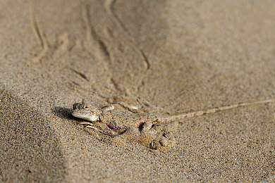 瑞典农民儿女：从北欧雪原启程，在欧洲卡车模拟2中耕耘你的公路人生-3