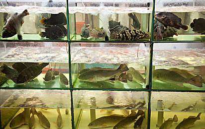 韩国一区二区三区：竞速新境界，从入门到精通的赛道进阶全解析-2