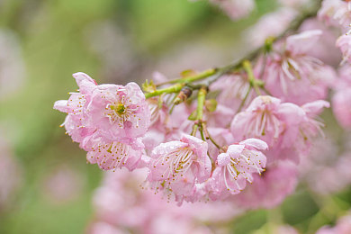 国精产品一区二:极限车神新篇,驾驭国产赛车驰骋虚拟赛道-4