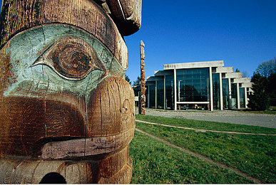 葫芦里面卖的千万影片：墨西哥画卷中的极速诗篇，地平线之上的光影轮舞-3