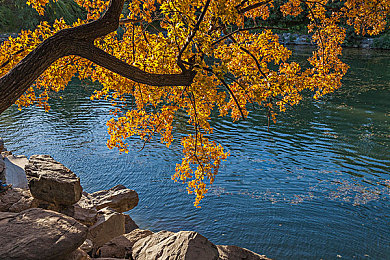 黑料曝光：《极限车手：暗夜狂飙》今日上线，隐藏车辆缺陷与赛道陷阱系统全解析-2