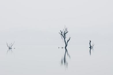 在床上打扑克不盖被子：极速牌局，狂飙心算的竞速对决