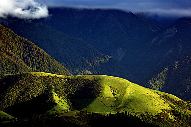 暗网进入:霓虹深渊,非法竞速与数据迷踪-2