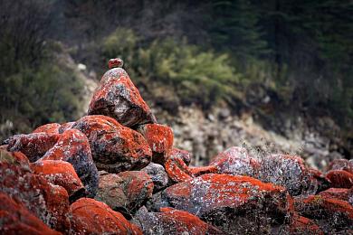 黄色软件装扮：虚拟画布上的极速美学，当改装狂潮点燃街头梦想-2