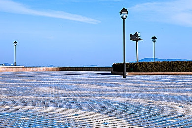 黄色软件下载免费30.3：地平线飞驰，墨西哥阳光下的收藏与涂装艺术之旅