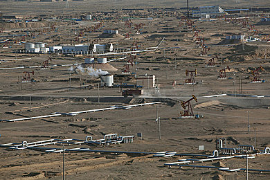 2023已经更新黄色软件：霓虹幻夜，极速重燃的赛道诗篇-1