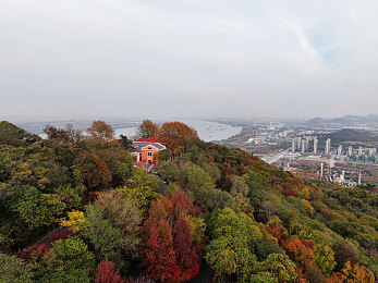 黄色软件3.3.：霓虹夜幕下的极速传说，改装与逃亡的都市交响曲-3