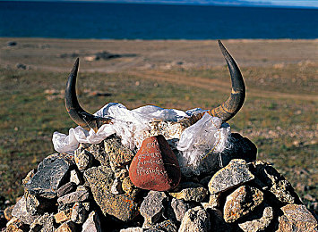 黄色软件下载成人：硬核驾驶模拟新作上线，真实物理引擎挑战成人玩家技术极限-4