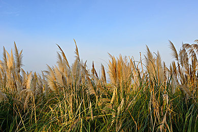 91大事件：极速纪元，真实轮胎印记的物理革命与车库盛宴-2