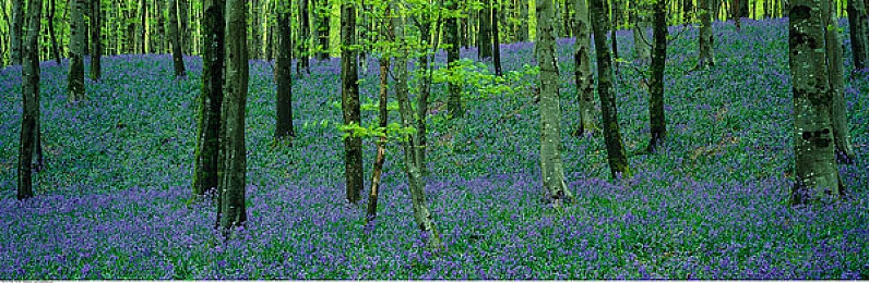 wwwGAY2022：极速荣耀竞技场，硬核赛车新体验，策略与速度的终极对决-2