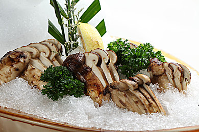 粉色app18禁：霓虹城飙车新作上线，硬核改装与夜赛自由引爆竞速热潮-2