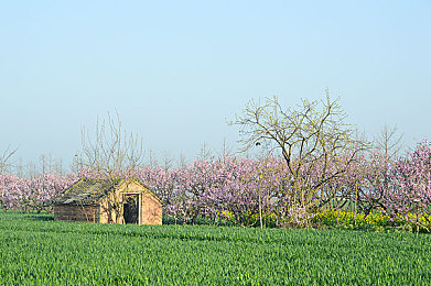 韩国三级片国产传媒：街头赛车光影对决，以传媒之力飙升至传奇巅峰