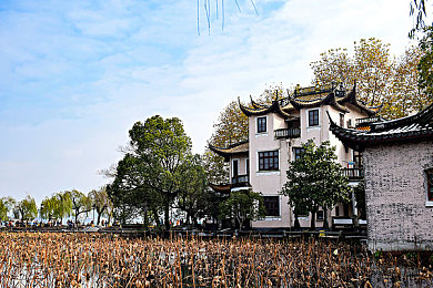 校花光屁股趴在体罚室：霓虹边缘的规则反叛者,引擎轰鸣中的自由抉择-2